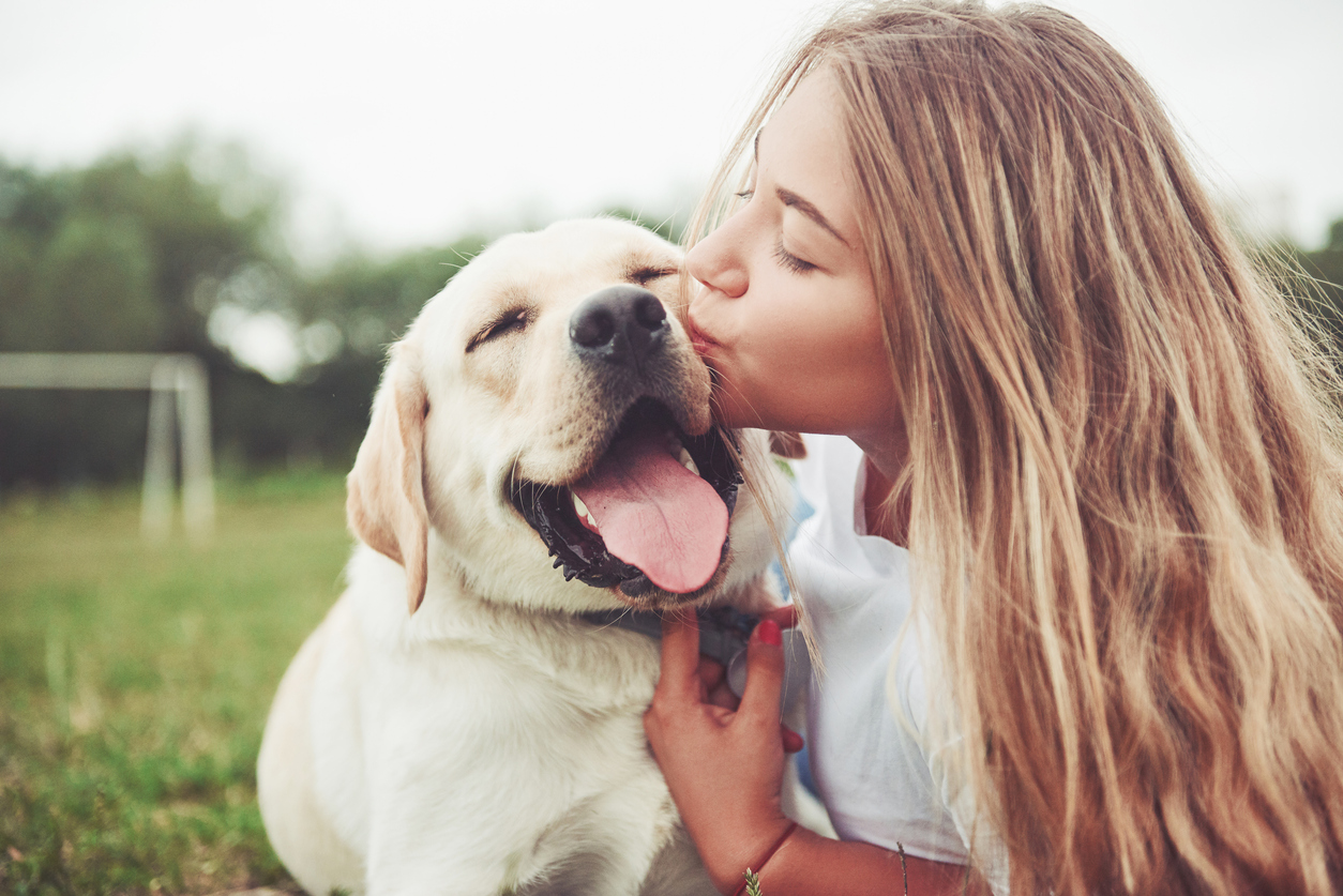 Hoe lang kan een hond alleen zijn?  Mijn Hond